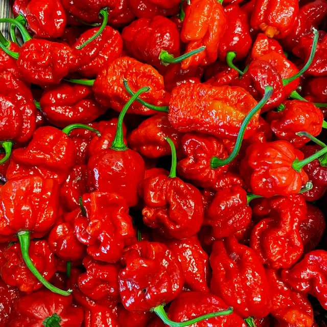 fireland-foods-frische-carolina-reaper-chili-100g-sch-rfe-12-12 image 1