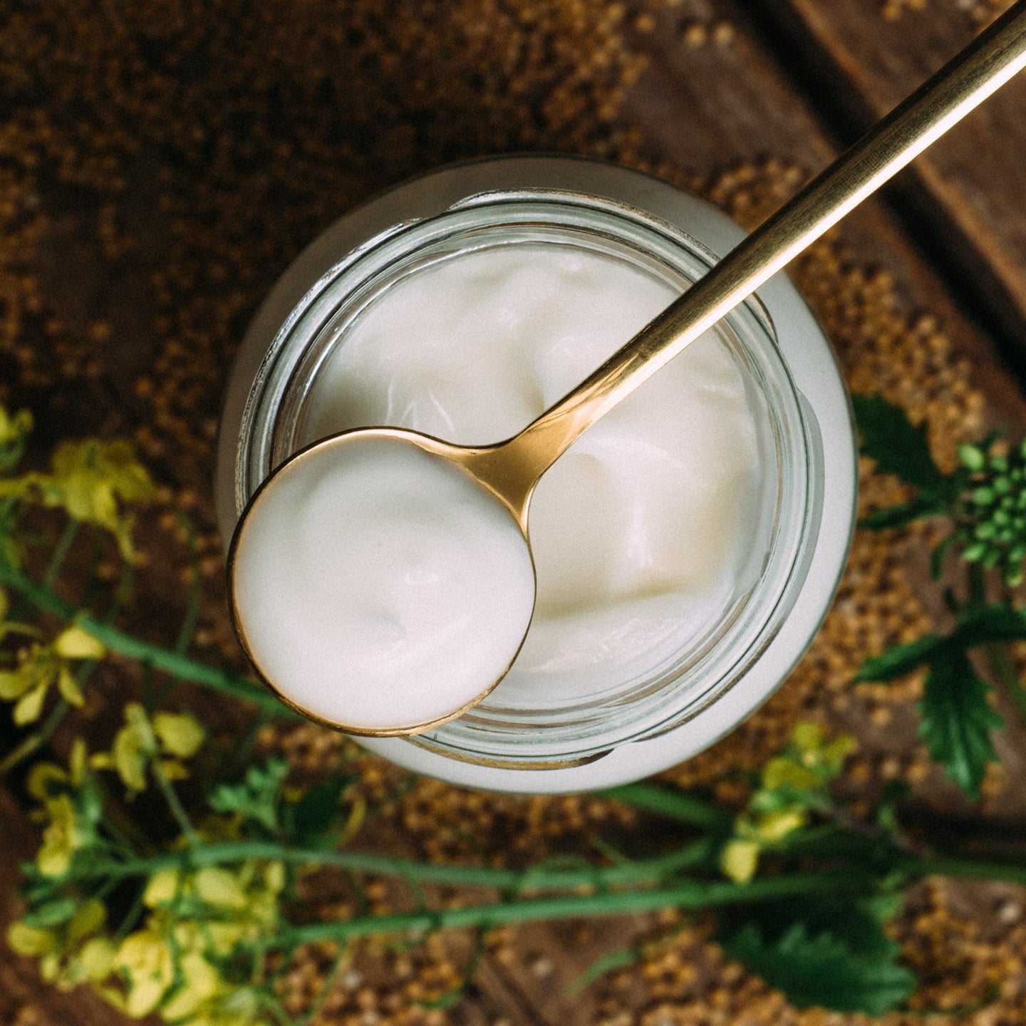 m-nchner-kindl-senf-bio-vegane-mayo-vegane-mayonnaise-im-glas image 2