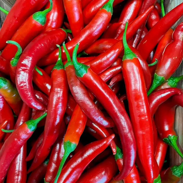 fireland-foods-frische-cayenne-rot-200g-frische-chili image 1