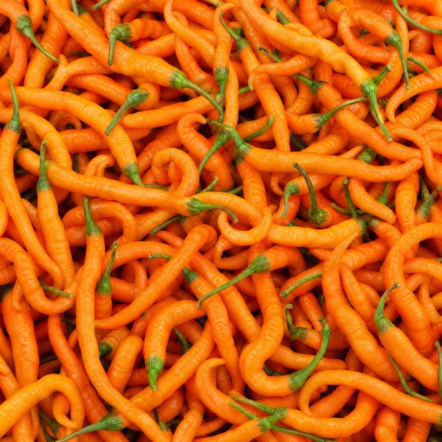 fireland-foods-frische-turuncu-spiral-100g-milde-t-rkische-chili image 1