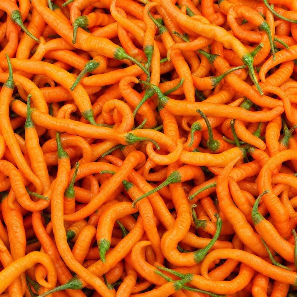 fireland-foods-frische-turuncu-spiral-100g-milde-t-rkische-chili image 1