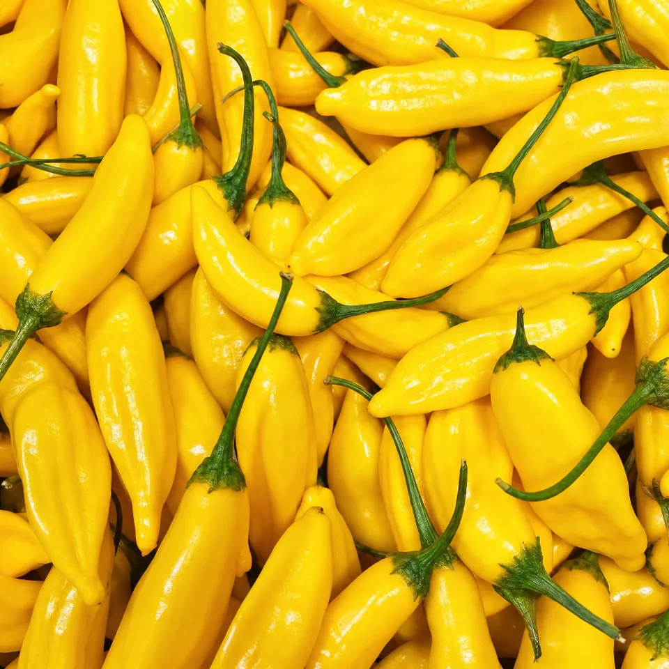 fireland-foods-frische-lemon-drop-chili-100g image 1