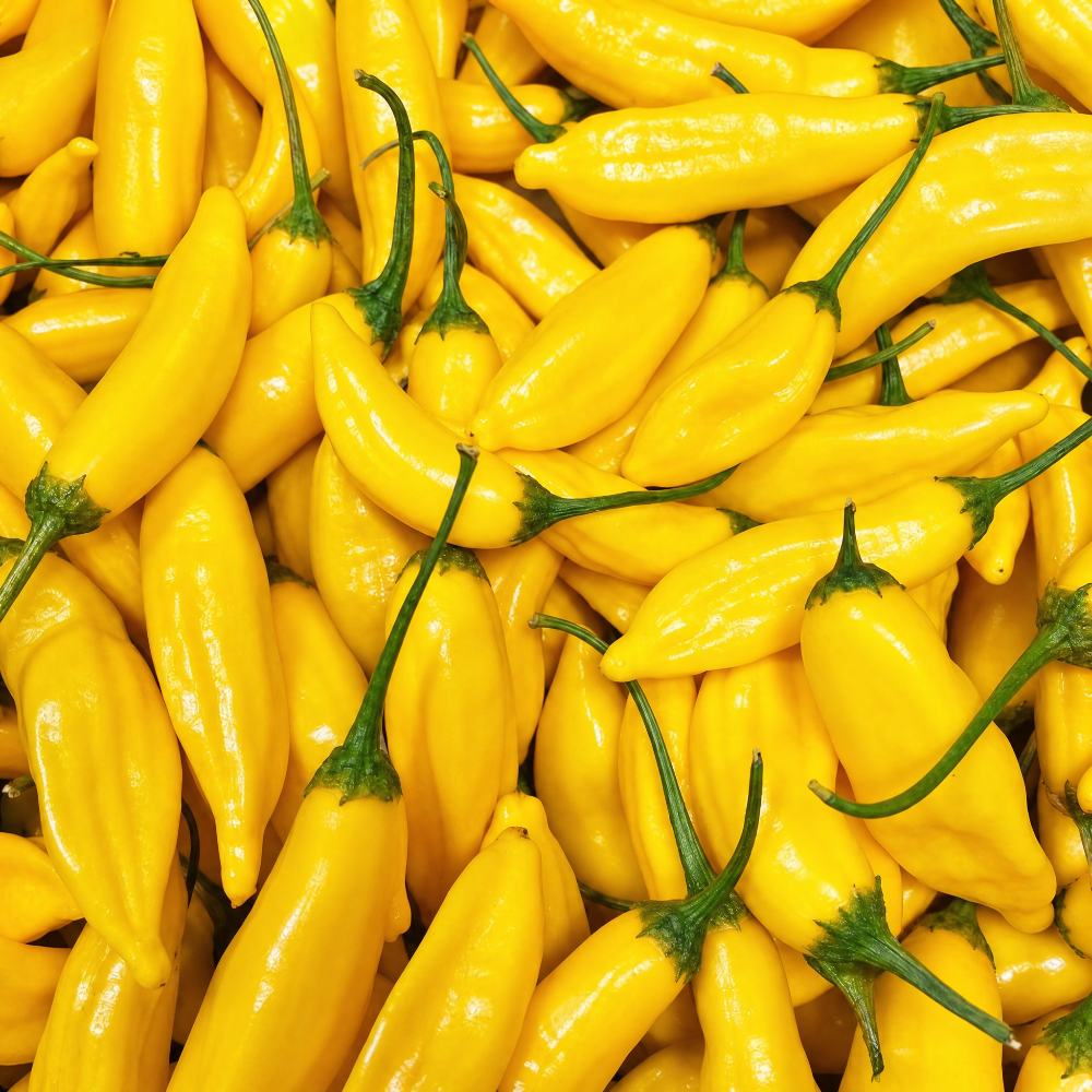 fireland-foods-frische-lemon-drop-chili-100g image 1
