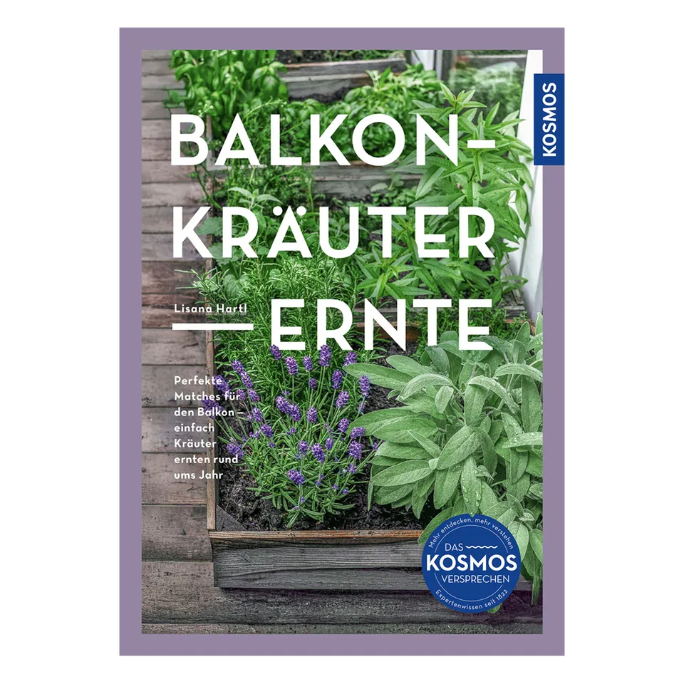 m-nchner-kindl-senf-balkon-kr-uter-ernte-kr-uter-gartenbuch-f-r-balkon image 1