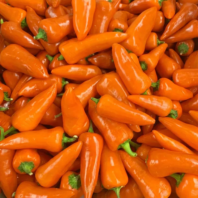 fireland-foods-frische-fresno-orange-200g image 1