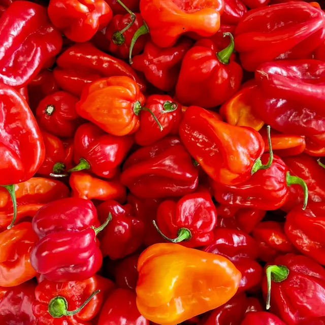 fireland-foods-frische-habanero-rot-200g-frische-rote-chilischoten image 1