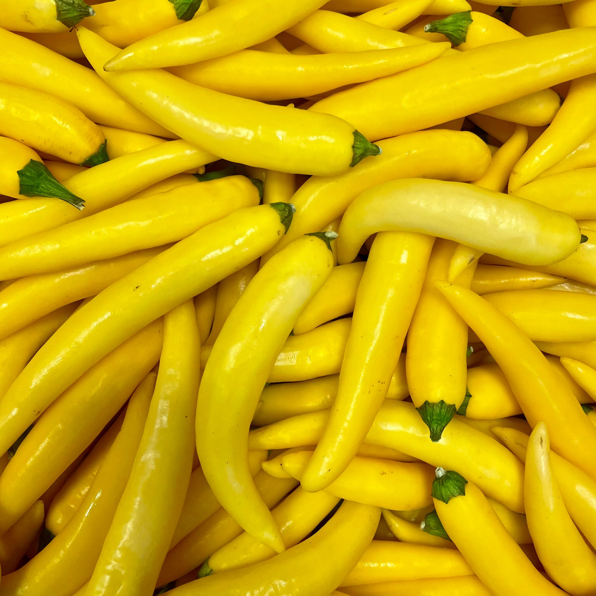fireland-foods-frische-cayenne-gelb-chili-200g image 1