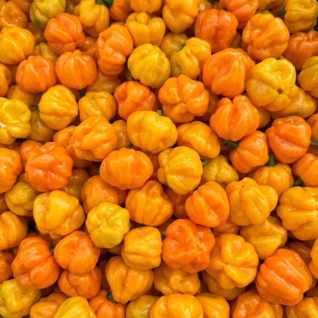 fireland-foods-frische-scotch-bonnet-100g-karibische-chili image 1