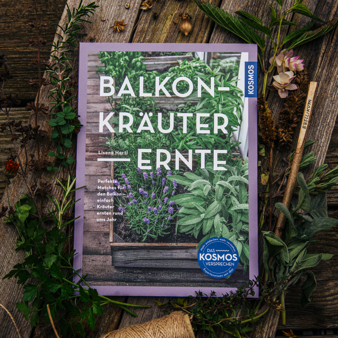m-nchner-kindl-senf-balkon-kr-uter-ernte-kr-uter-gartenbuch-f-r-balkon image 2