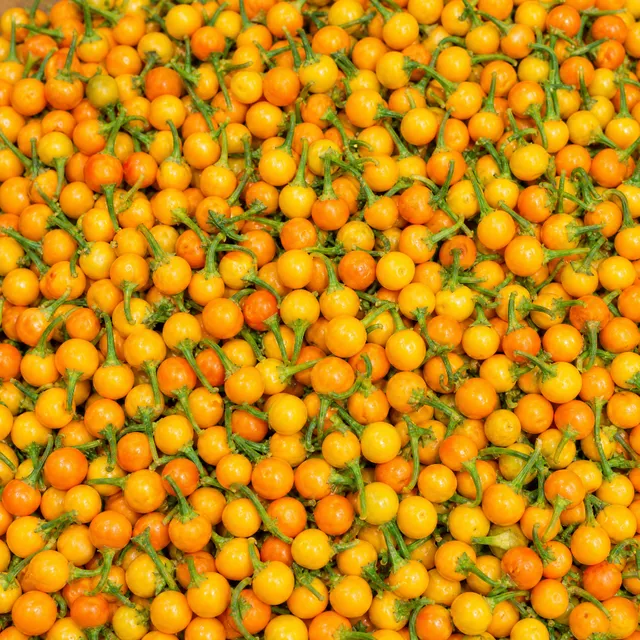 fireland-foods-frische-aji-charapita-35g-im-glas-peruanische-wild-chili image 1