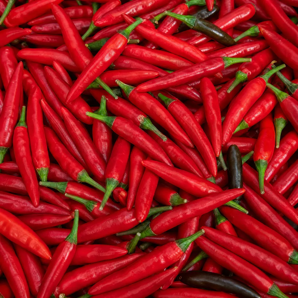 fireland-foods-frische-goats-weed-50g-frische-intensive-chili image 1