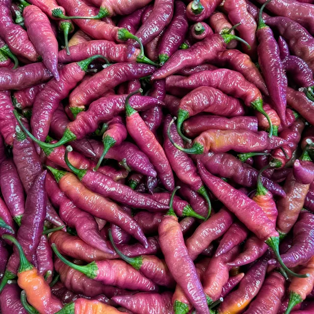 fireland-foods-frische-pink-tiger-chili-100g image 1