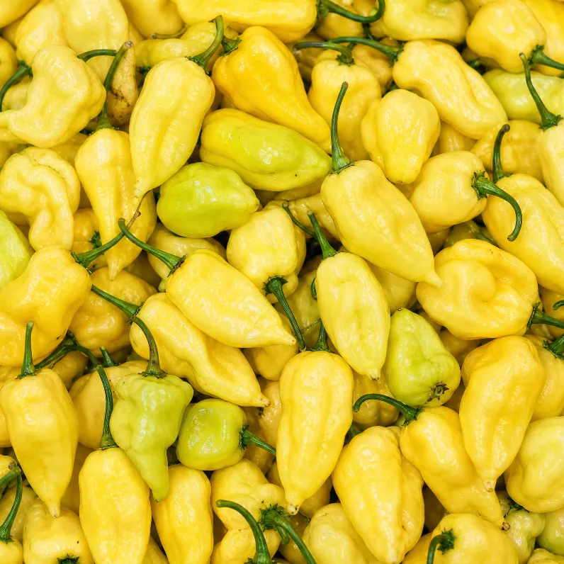 fireland-foods-frische-fatalii-wei-chili-100g-sch-rfe-10-12 image 1