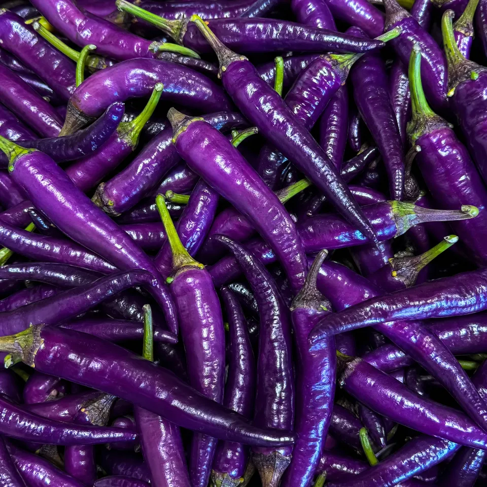 fireland-foods-frische-diavoletto-chili-100g image 1