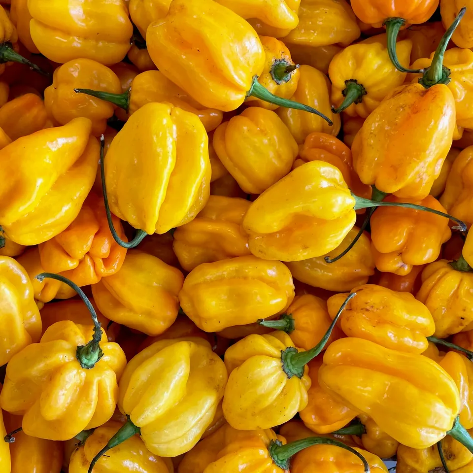 fireland-foods-frische-habanero-gelb-200g-sehr-scharf image 1