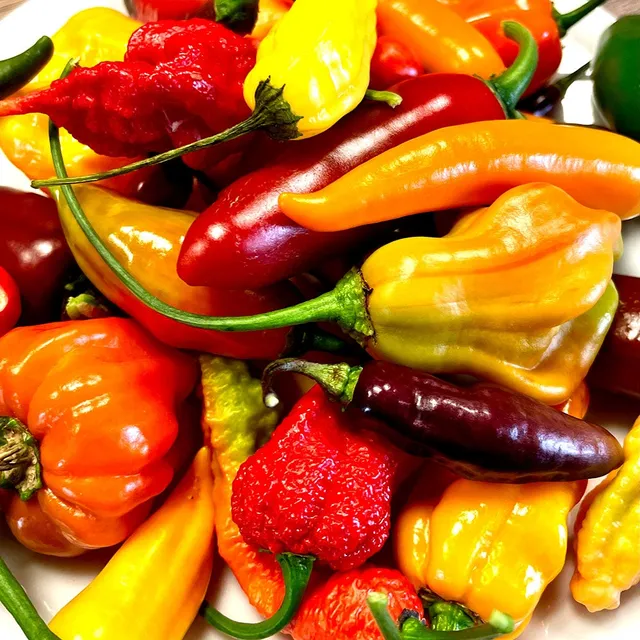 fireland-foods-frischer-chili-schaugarten-mix-200g image 1