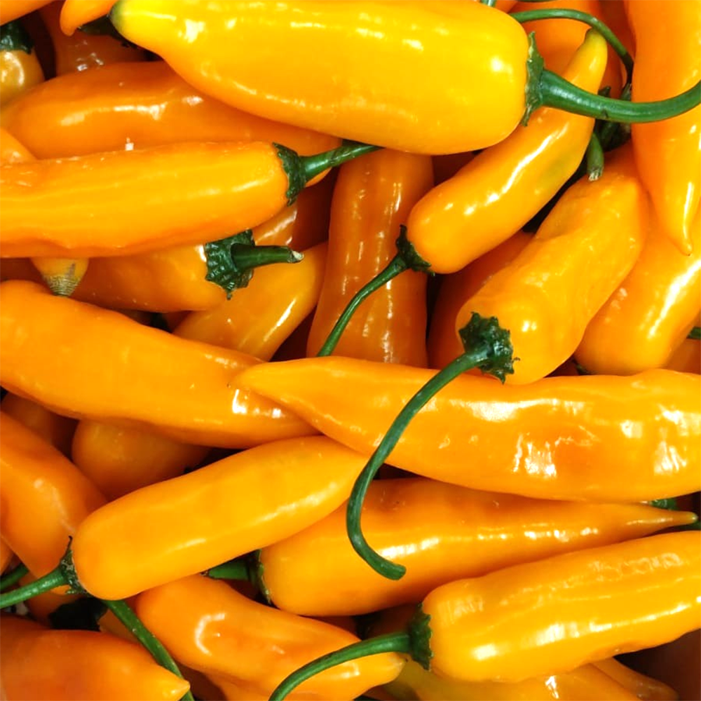 fireland-foods-frische-aji-amarillo-200g-frische-chili image 1
